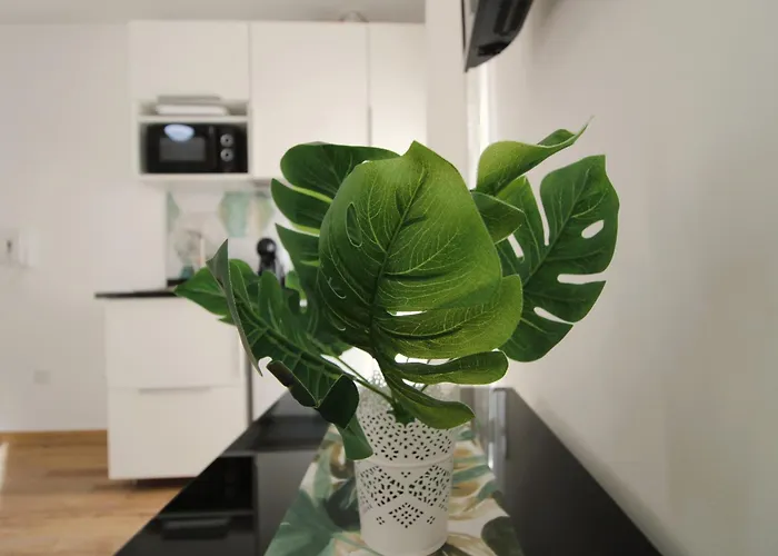 Casa Oasis By Cosycasa Appartement