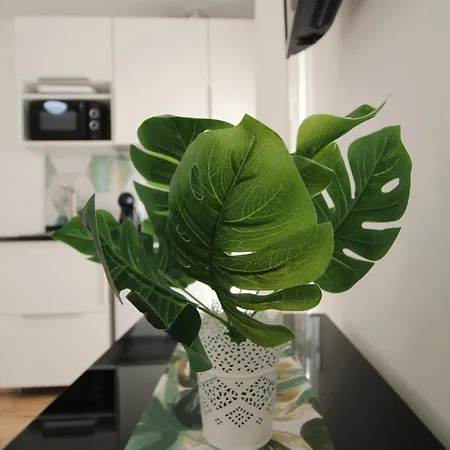 Casa Oasis By Cosycasa アパート